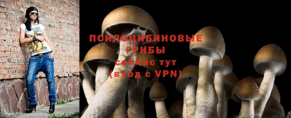 таблы Майский