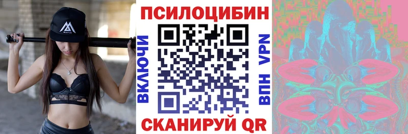 МЕГА рабочий сайт купить наркотики цена Неман Галлюциногенные грибы MAGIC MUSHROOMS